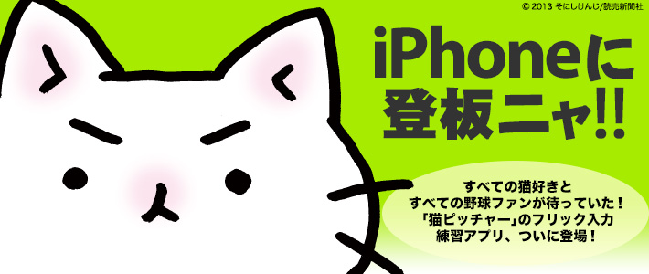 Neko Pitcher Miichan Flick